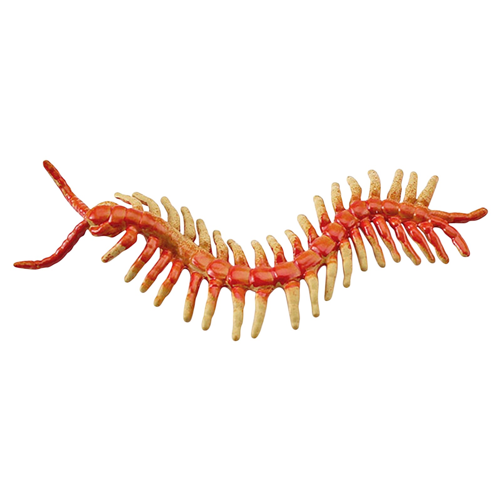 Generic Insect Bug Toy Figures for Boys Girls, Realistic Fake Bugs, Colorful Assorted Bug for Education, Fake Play Bug for Insect Themed Garden Party, Cake Topper, Easter Basket Filler